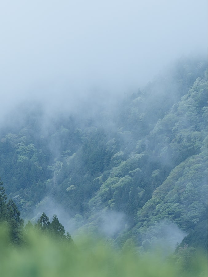 A landscape of misty mountains